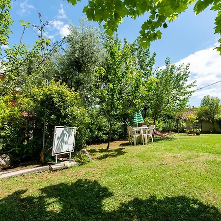 Apartman Nigra